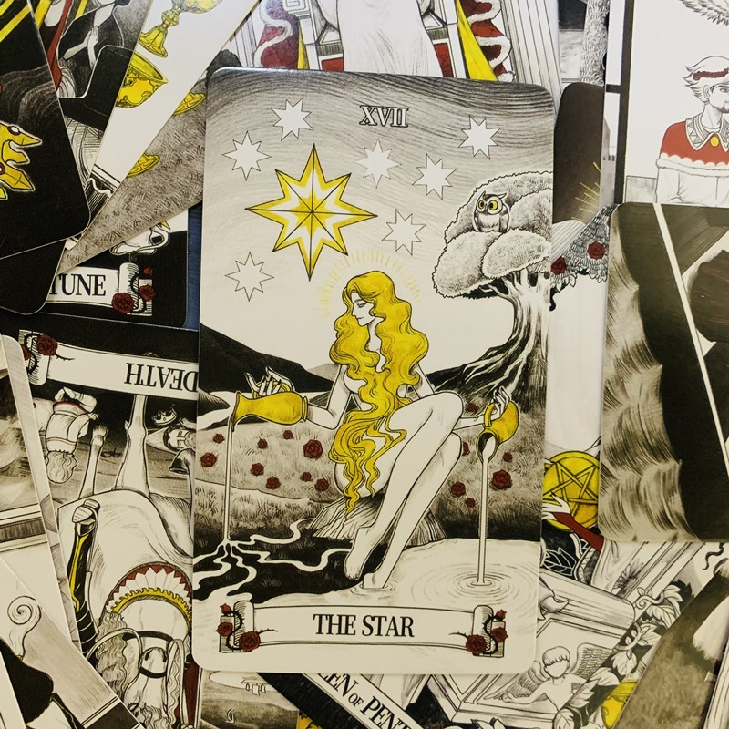 시크릿 미러 타로 카드, 점술 갑판, 영어 비전 에디션 - Board Game Of Life 리뷰 및 가격